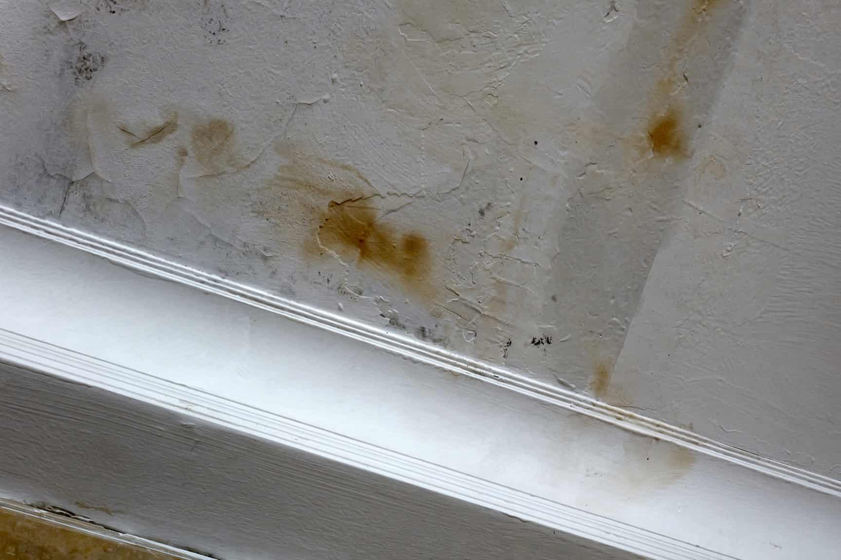 Brown water stain on a bedroom ceiling in a Colorado Springs home before repair